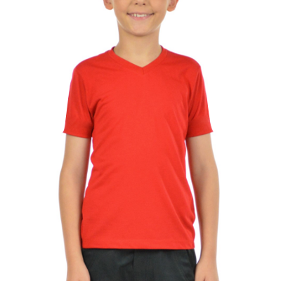 Camiseta Tradicional Gola V PV